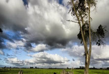 海星体育:德转落选国家队阵容:恩昆库、马丁内利、恩瓦内里、加维在列.