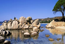 哈迪:助教们最终说服乌度卡用双塔 这斗争从我在绿军时就开始了.